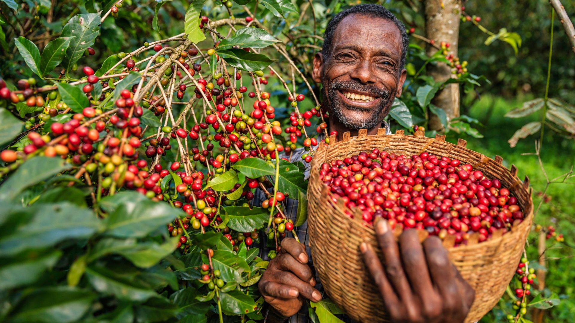 Ethiopian Specialty Coffee